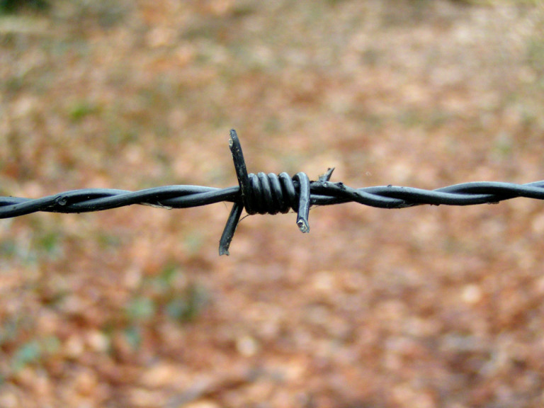 barbed-wire-1442805-1280x960-768x576